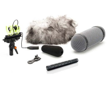 DPA 4017 C Shotgun Microphone, compact w/ Rycote windshield Bundle