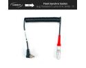 AMBIENT LTC-OUT-FS (Flash Synchro Timecode cable for Panasonic GH